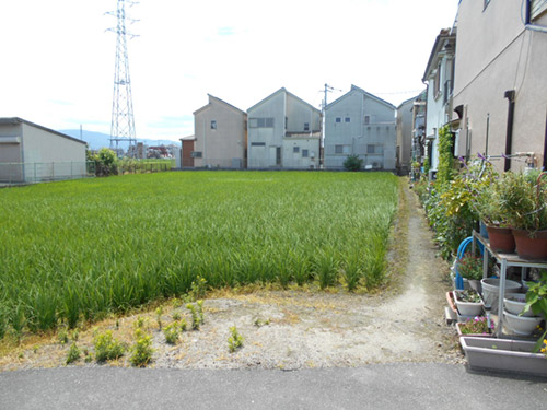 農地から戸建て住宅